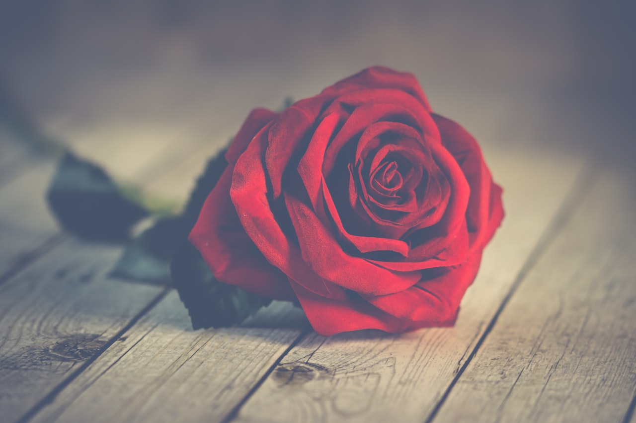 Valentine's Day
