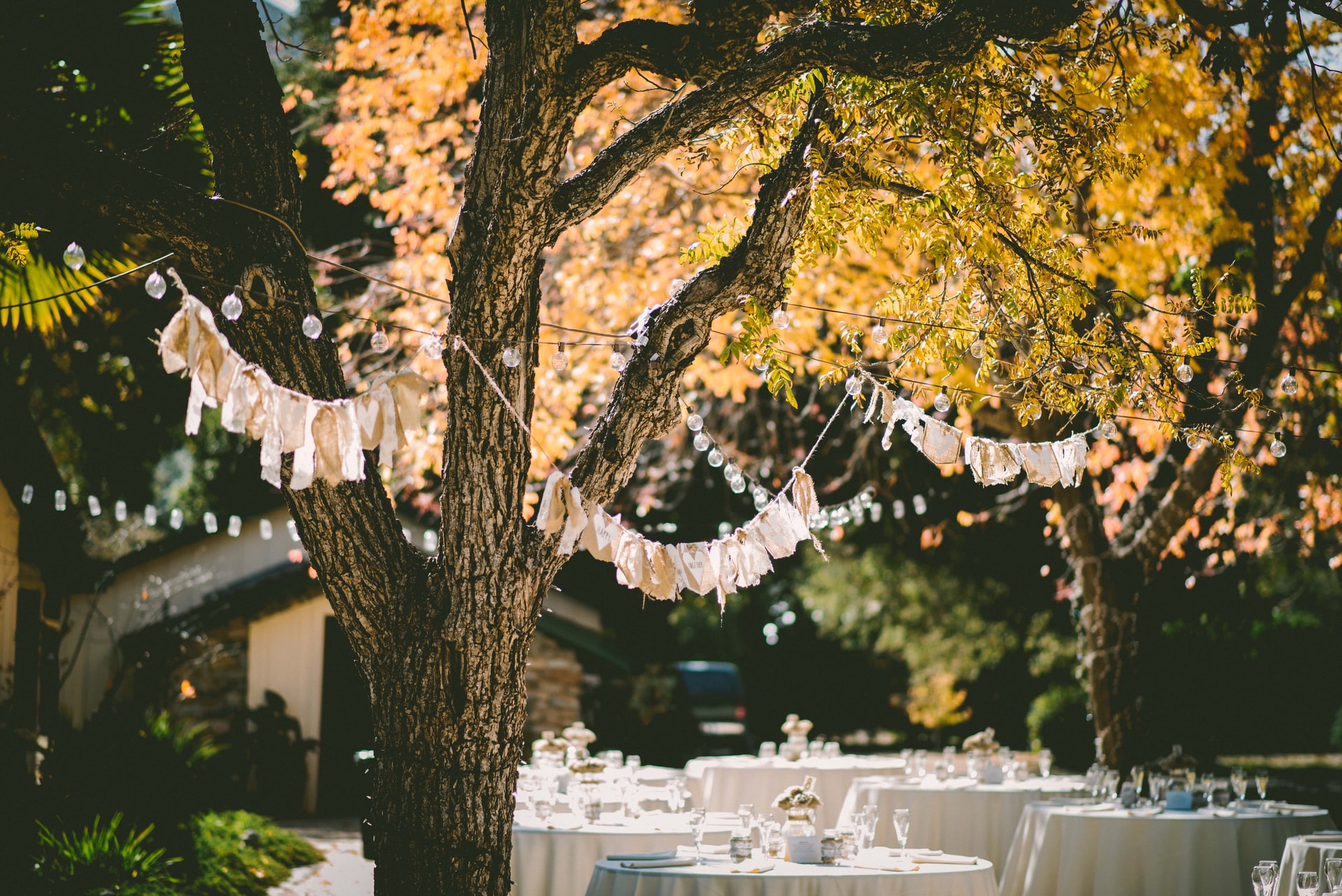Garden party with fairy lights and white seating