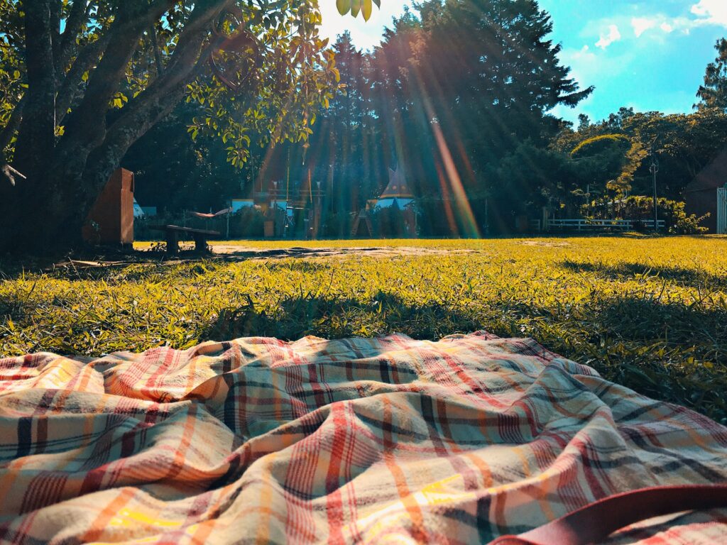 Picnic blanket overlooking a garden