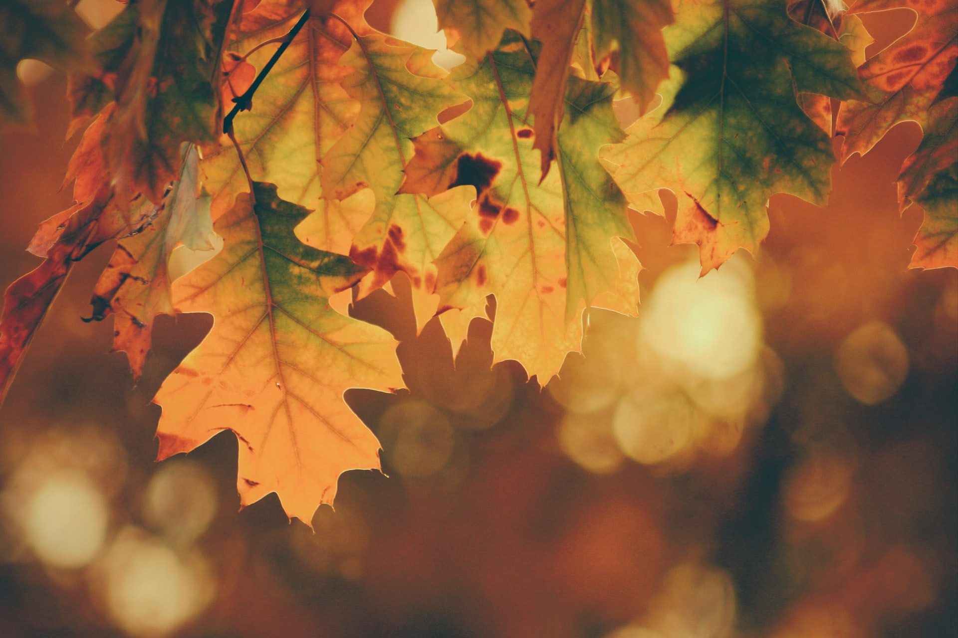 Autumn weather